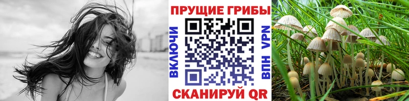 Псилоцибиновые грибы GOLDEN TEACHER  Артёмовский 